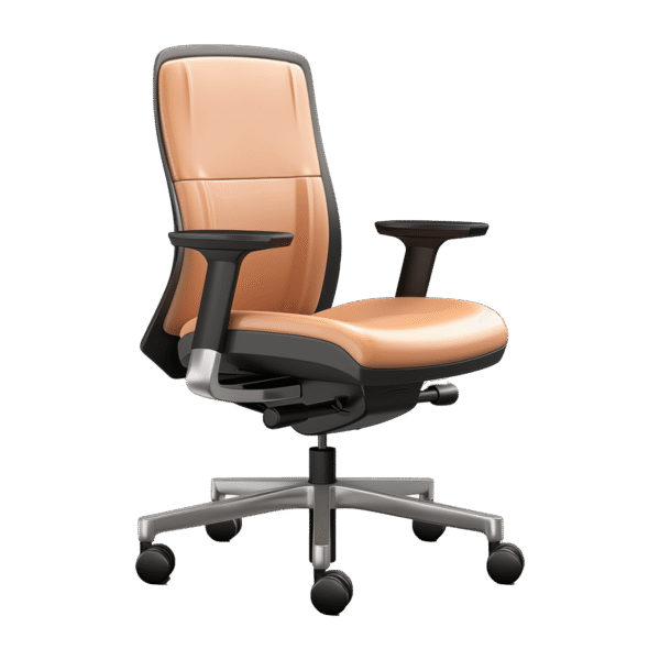 A Versatile Desk Chair